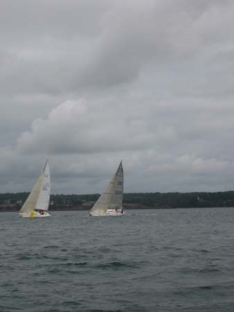 nat J105 2006 245