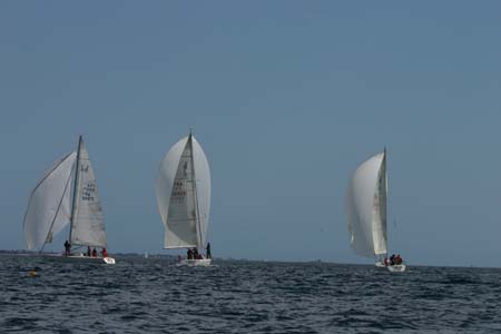 IMG_4296