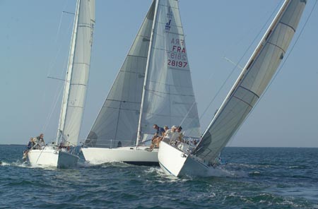D6495744