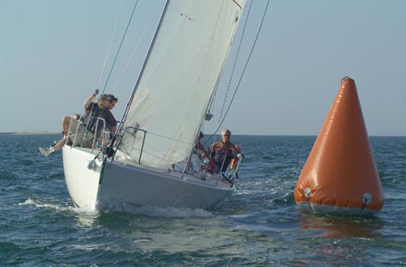 D6495747