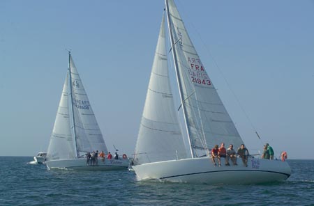 D6495777