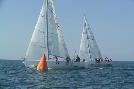 D6495778