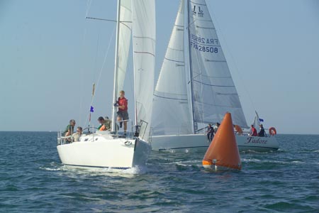 D6495779