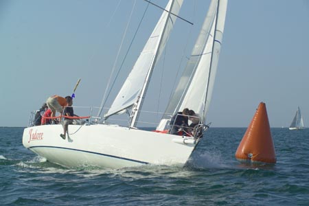 D6495780