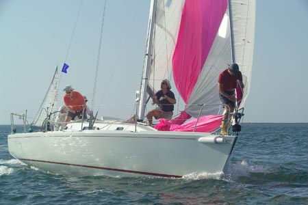 D6495793