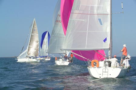 D6495802