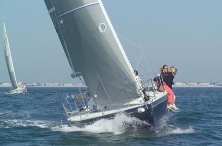 D6495838