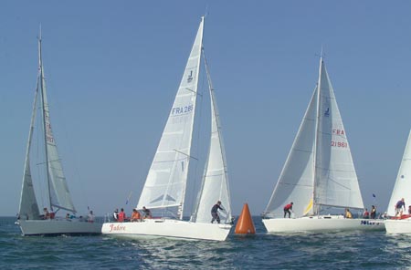 D6495869