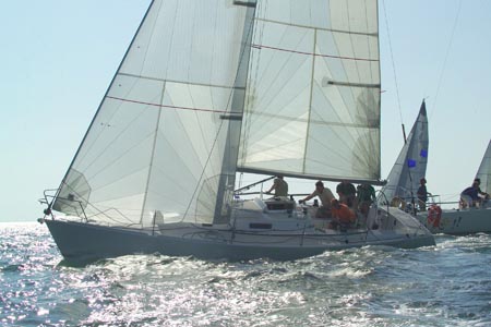 D6495870