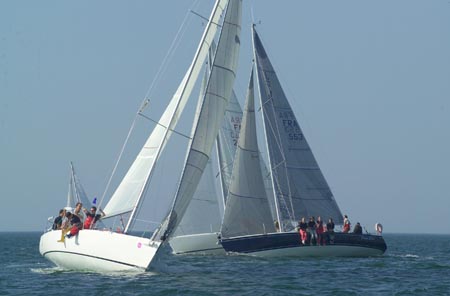 D6495882