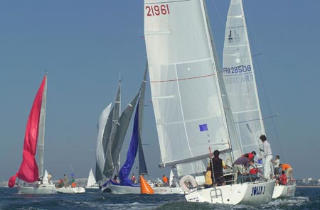 D6495889