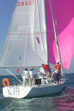 D6495894