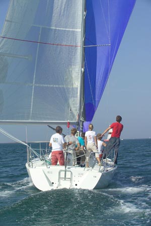 D6495895