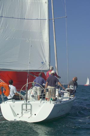 D6495896