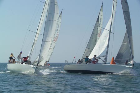 D6495982