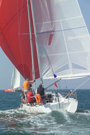 D6495997