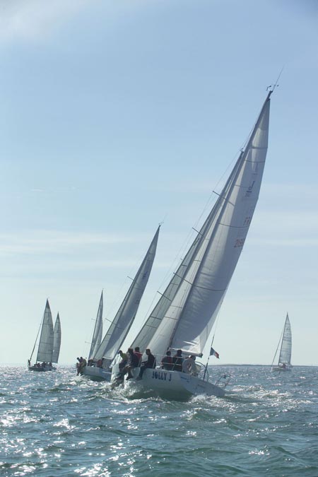 D6495502
