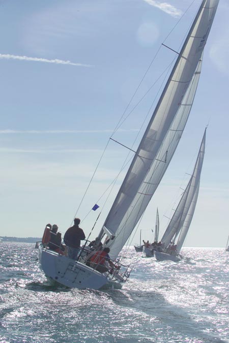D6495504