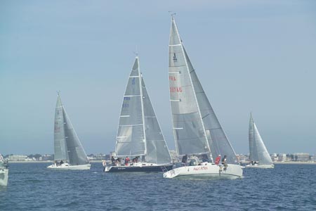 D6495529
