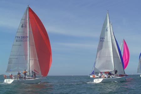 D6495550