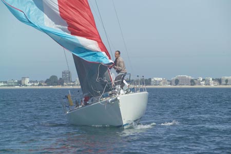 D6495566