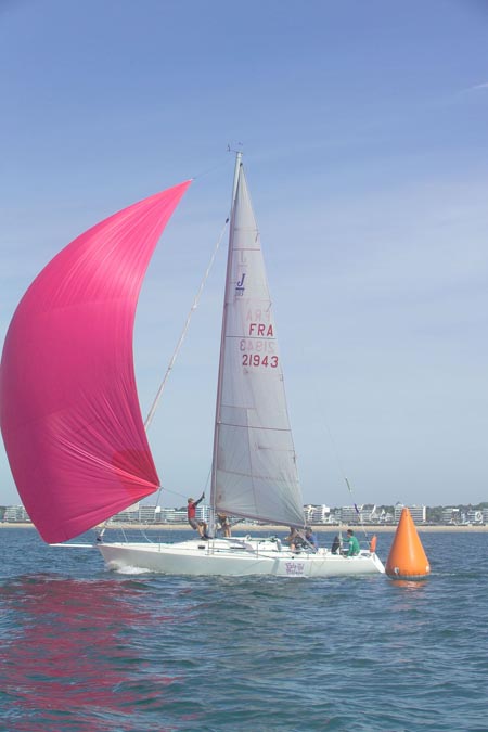 D6495584