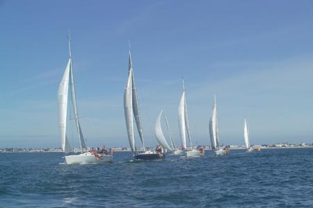 D6495605