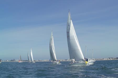 D6495608