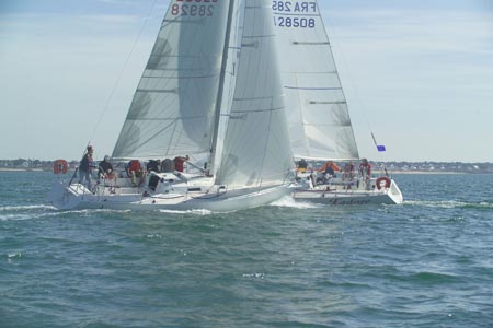 D6495619