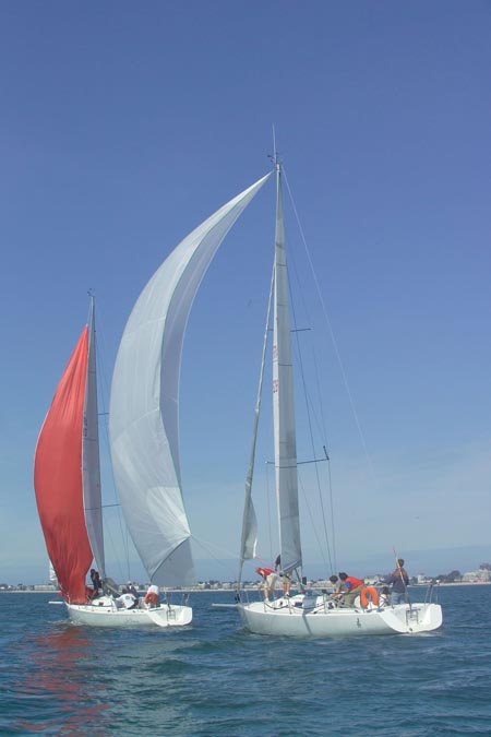 D6495643