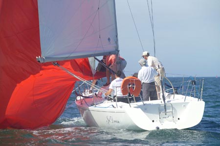 D6495666