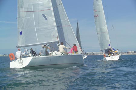 D6495681