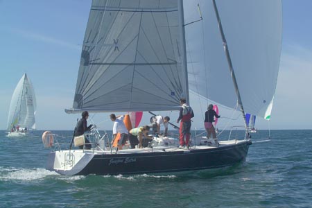 D6495688